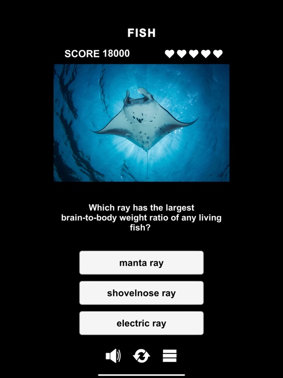 Animal Class screenshot 4