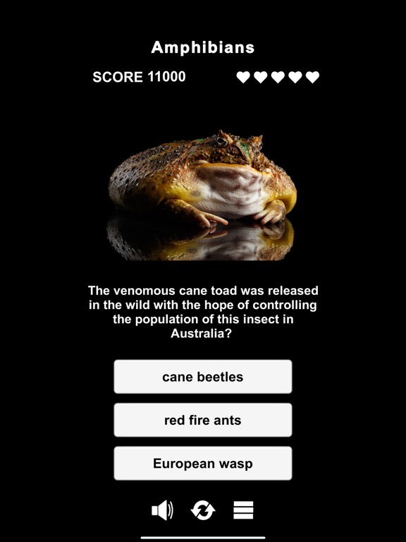 Animal Class screenshot 3