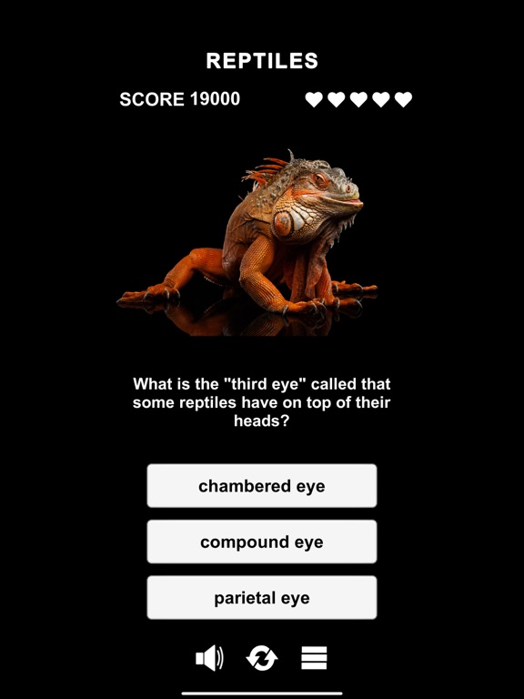 Animal Class screenshot 6
