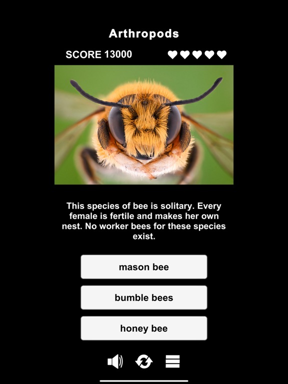 Animal Class screenshot 2