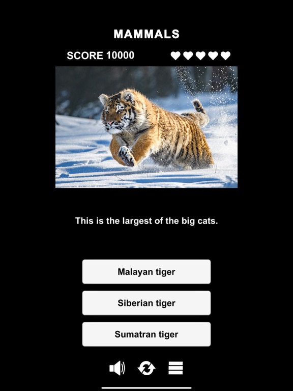 Animal Class screenshot 7