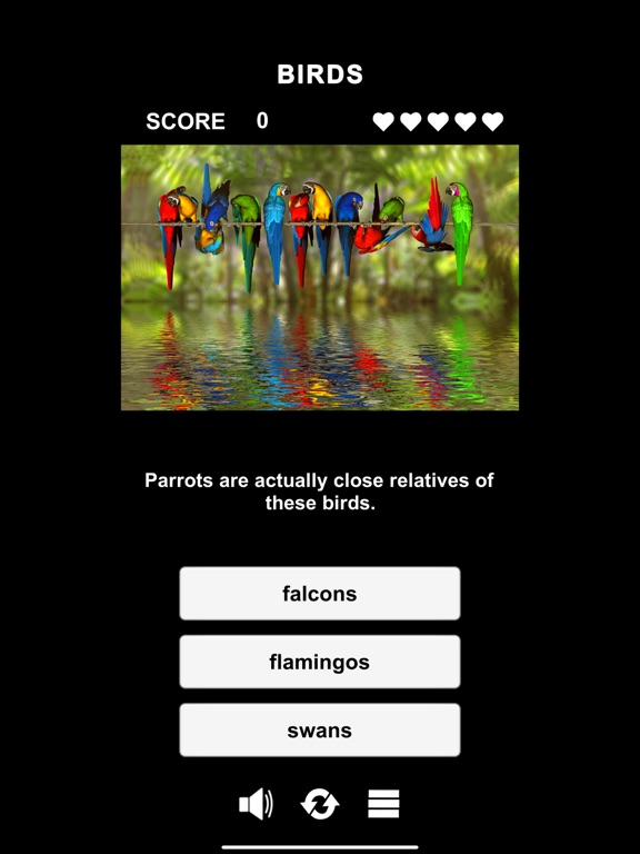 Animal Class screenshot 5