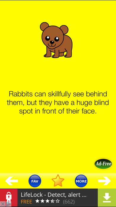 Animal Fun Facts screenshot 3