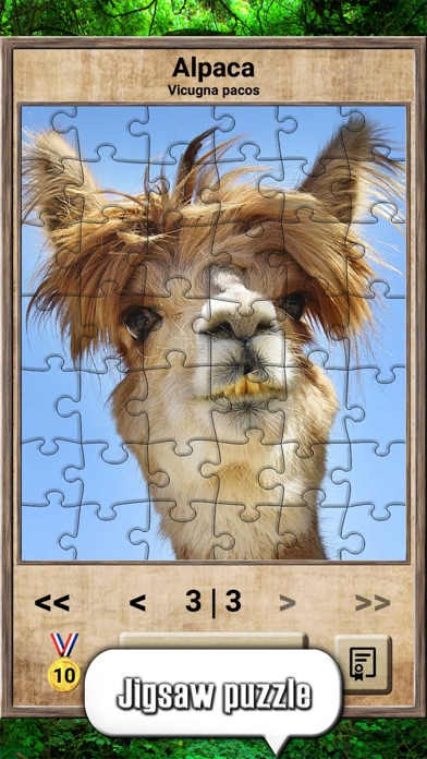 Animal Kingdom - Quiz Game screenshot 1