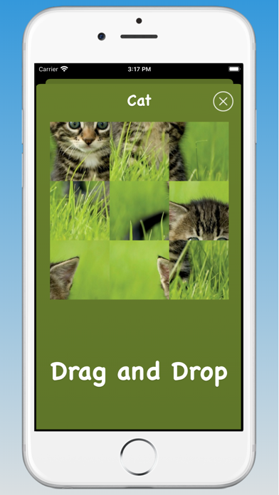 Animal Sounds, Animal Language screenshot 4