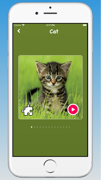 Animal Sounds, Animal Language screenshot 5