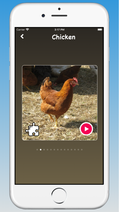 Animal Sounds, Animal Language screenshot 1