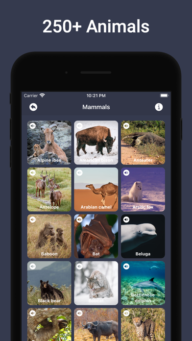Animal Sounds & Bird Noises screenshot 5