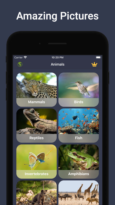 Animal Sounds & Bird Noises screenshot 1
