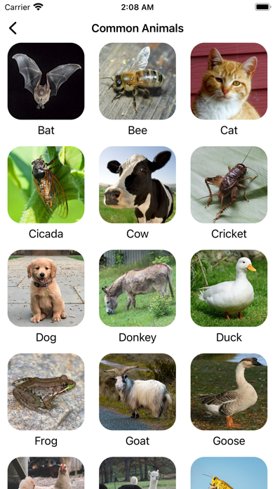 Animal Sounds & Bird Noises` screenshot 3