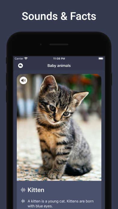 Animal Sounds & Bird Noises screenshot 4