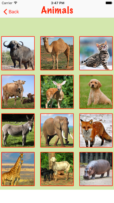 Animal Sounds - Easy learning screenshot 5