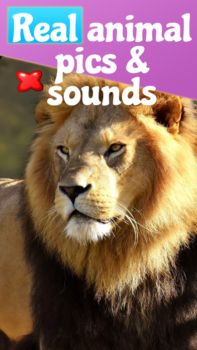 Animal Sounds, Noises For Kids screenshot 6