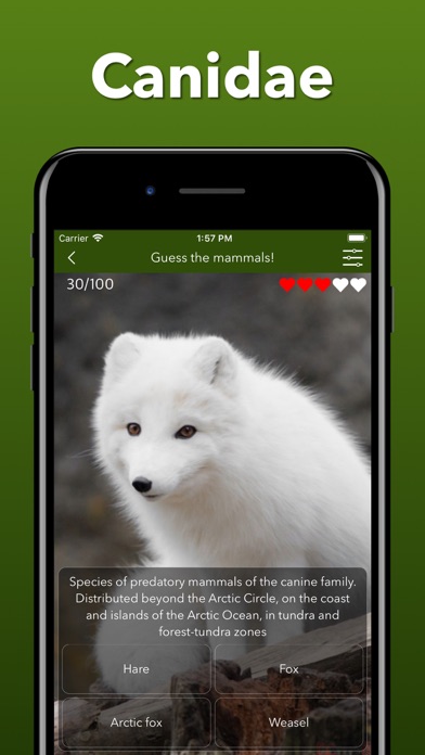 Animals Kingdom: Zoo Wild Quiz screenshot 3