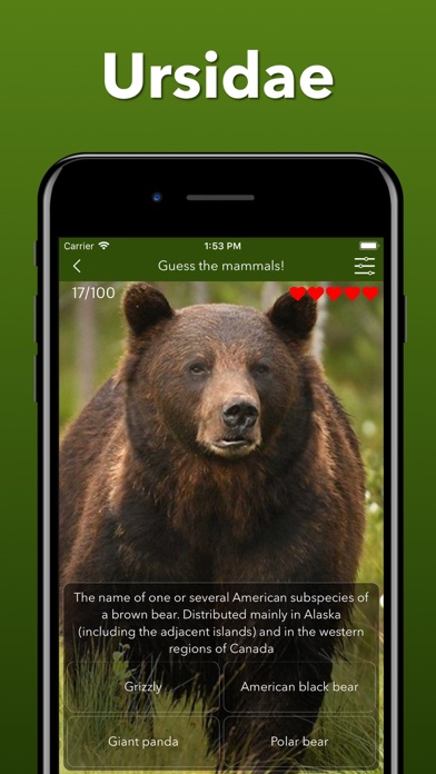 Animals Kingdom: Zoo Wild Quiz screenshot 7
