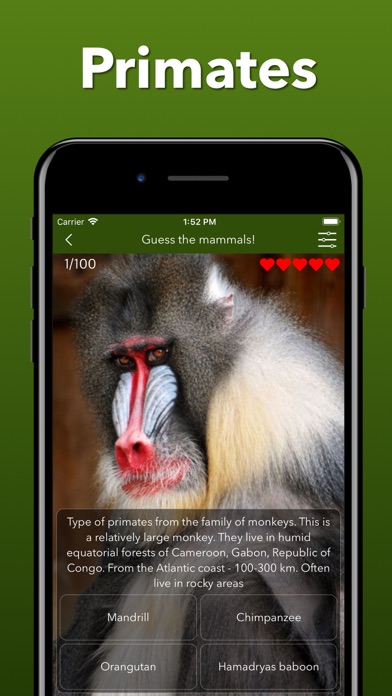 Animals Kingdom: Zoo Wild Quiz screenshot 1