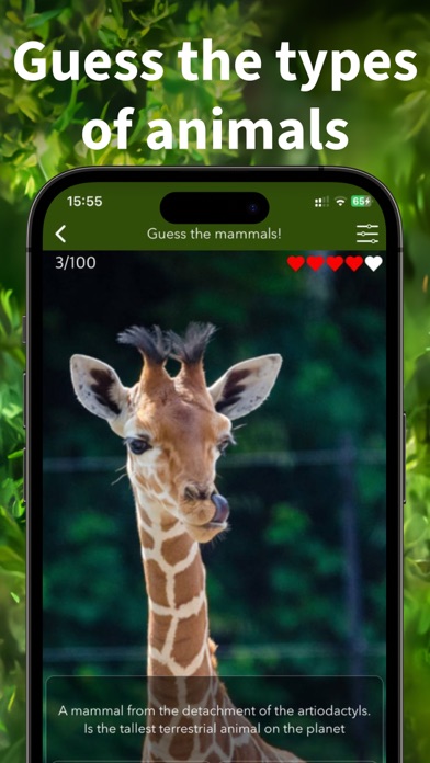 Animals Kingdom: Zoo Wild Quiz screenshot 8