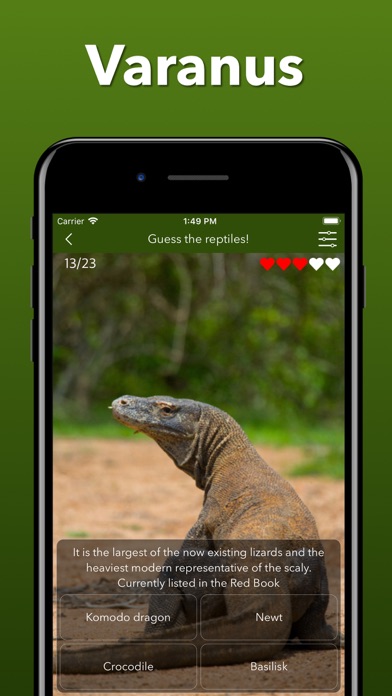 Animals Kingdom: Zoo Wild Quiz screenshot 5