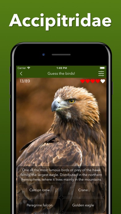 Animals Kingdom: Zoo Wild Quiz screenshot 6