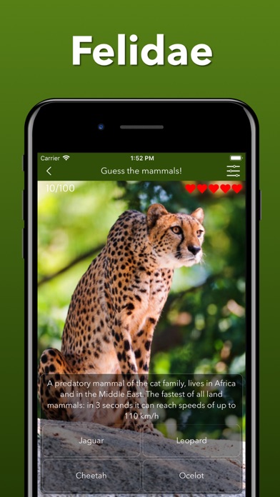 Animals Kingdom: Zoo Wild Quiz screenshot 4