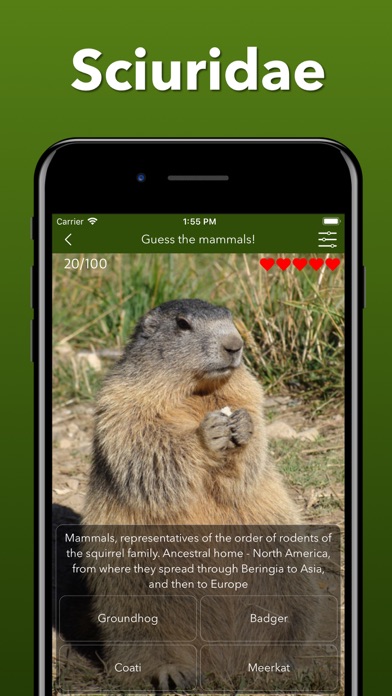 Animals Kingdom: Zoo Wild Quiz screenshot 2