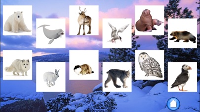 Animals North screenshot 2