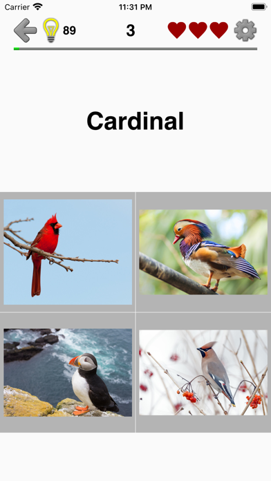 Animals Quiz - Mammals in Zoo screenshot 2