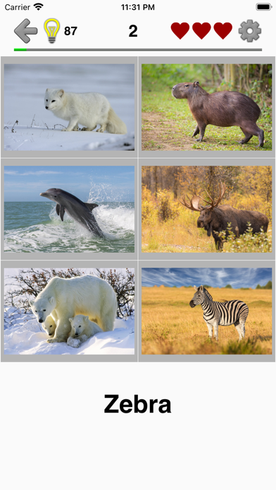 Animals Quiz - Mammals in Zoo screenshot 4
