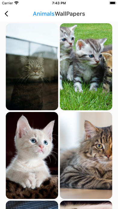 Animals UHD Wallpapers 4k 2024 screenshot 1