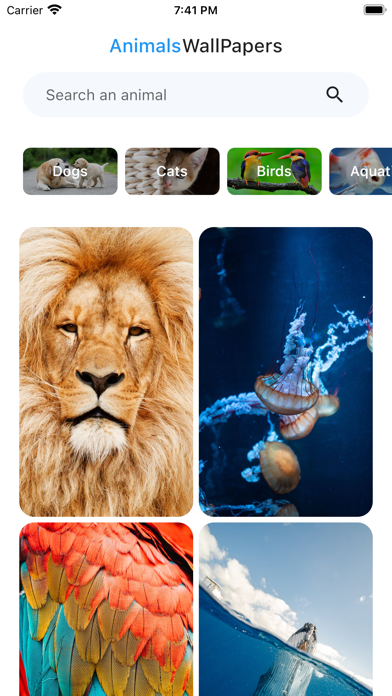Animals UHD Wallpapers 4k 2024 screenshot 3