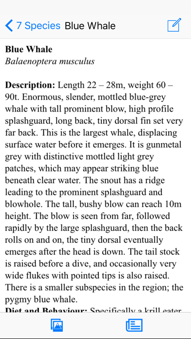 Antarctic Wildlife Guide screenshot 1