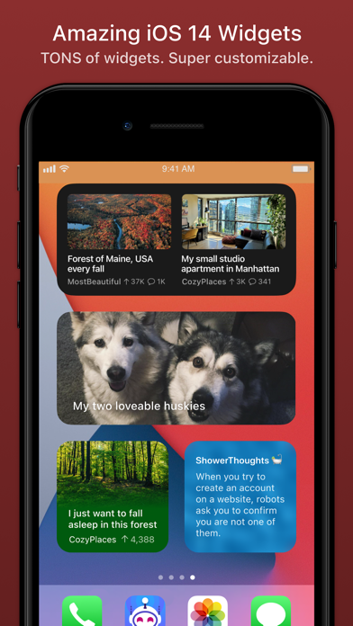 Apollo for Reddit screenshot 2