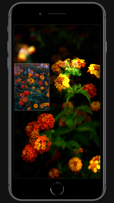 Apollo: Immersive illumination screenshot 2