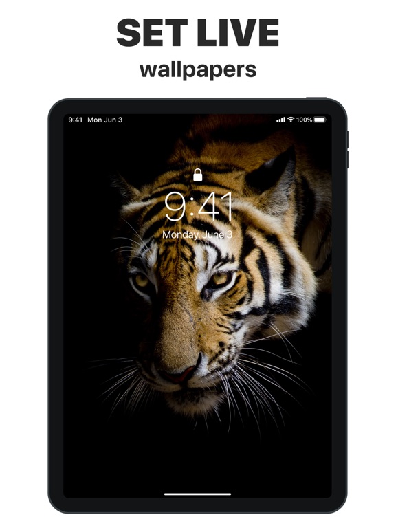 App Icons – Widget & Wallpaper screenshot 4