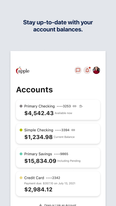 Apple Federal Credit Union screenshot 4