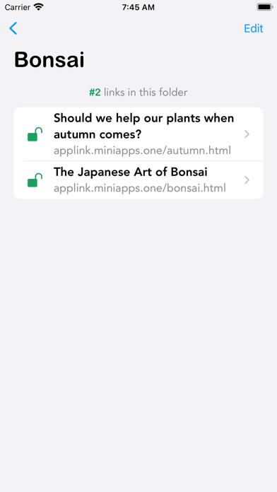 AppLink screenshot 2
