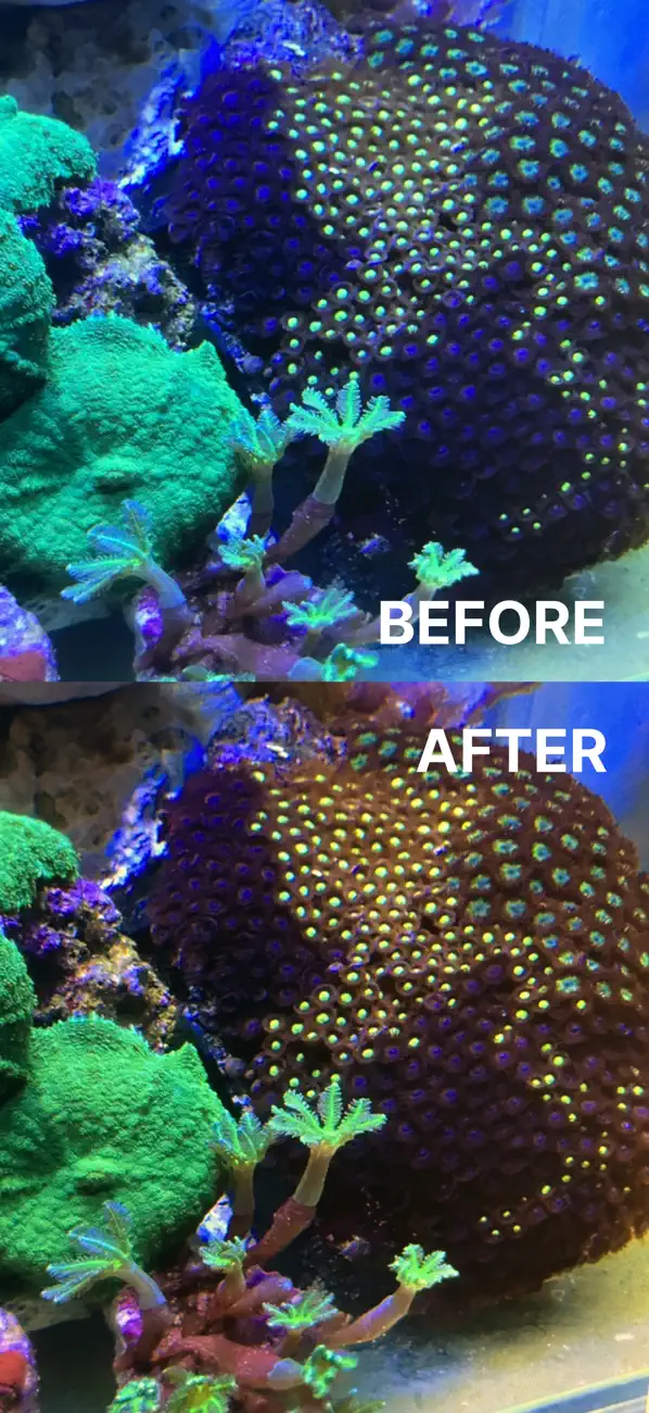 Aquarium Camera screenshot 5
