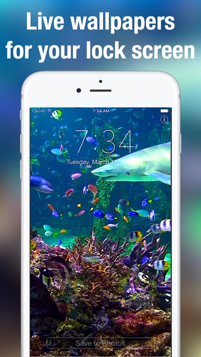 Aquarium Dynamic Wallpapers screenshot 5