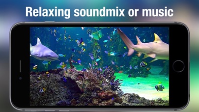 Aquarium Live - Real Fish Tank screenshot 1