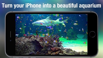 Aquarium Live - Real Fish Tank screenshot 3