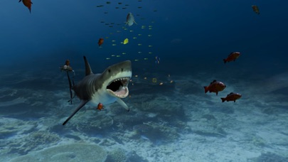 Aquarium VR screenshot 4