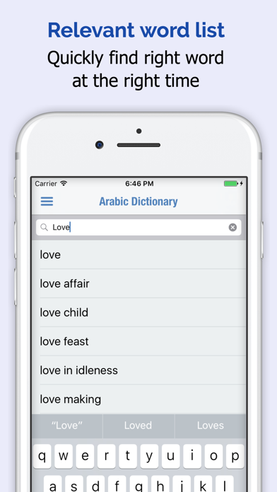 Arabic Dictionary + screenshot 4