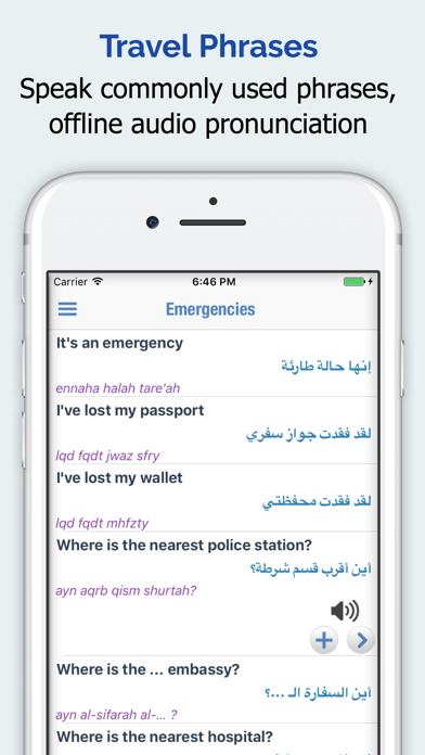 Arabic Dictionary + screenshot 2