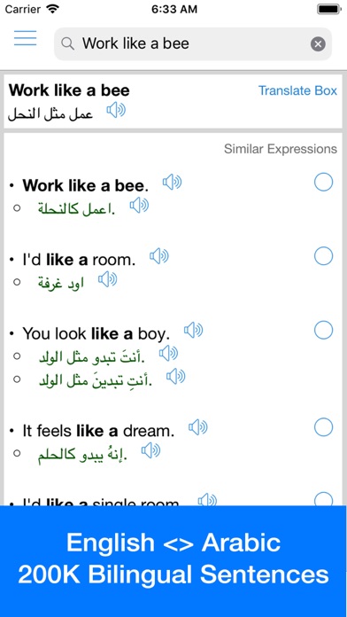 Arabic Translator Offline screenshot 3