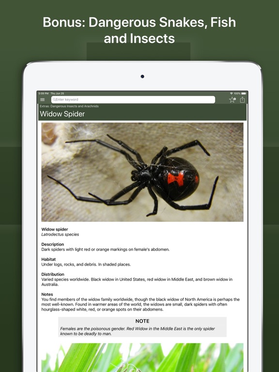 Army First Aid screenshot 2