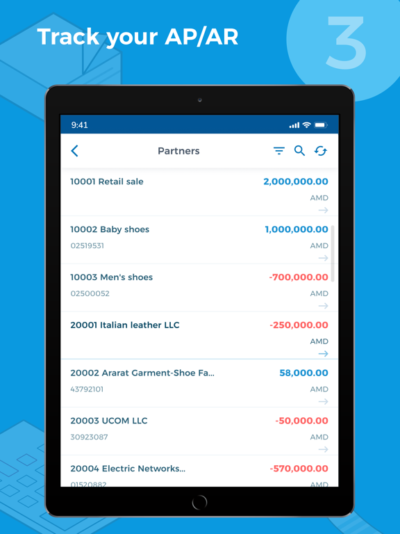 AS-Accountant screenshot 8