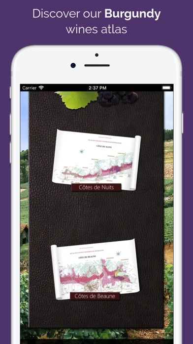 Atlas Bourgogne screenshot 5