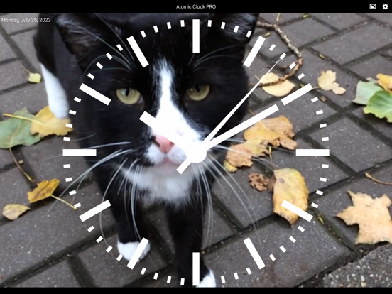 Atomic Clock PRO screenshot 3