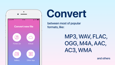 Audio Converter: convert mp3 screenshot 5