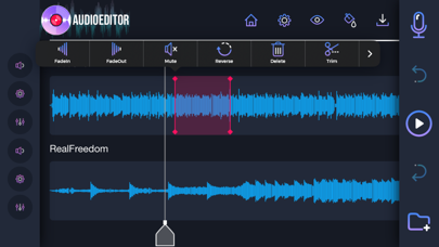 Audio Editor: Recording Studio screenshot 3